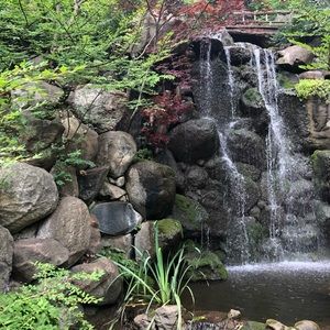 Meet your Posher, Kerry